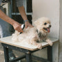 Transformative grooming for happy, healthy pets