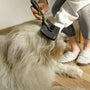 From fluff to buff: Sculpting your pet's perfect look
