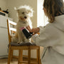 DIY grooming wonders: Tips from pet enthusiasts