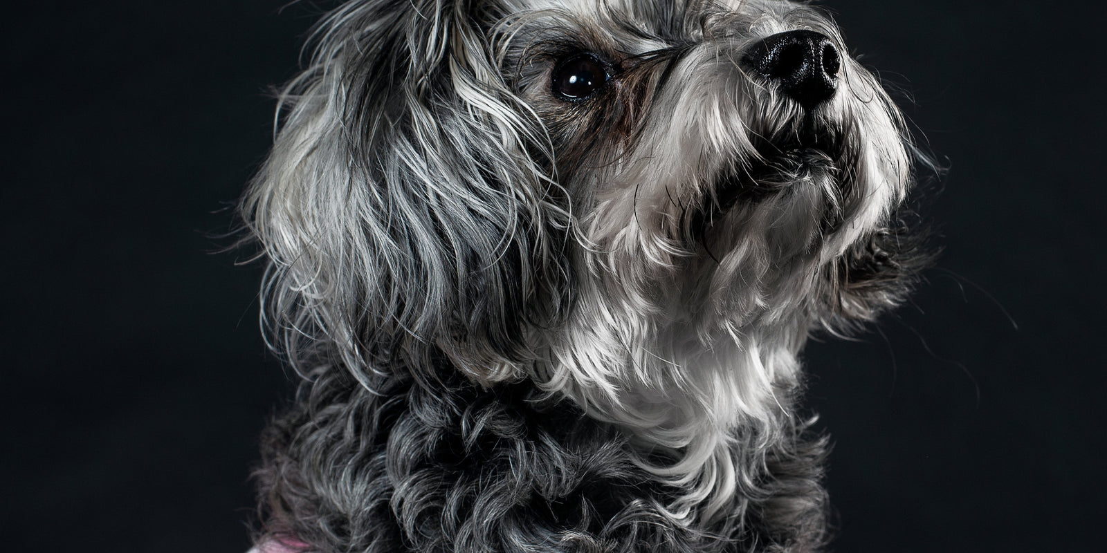 DIY grooming hacks: Turning challenges into triumphs