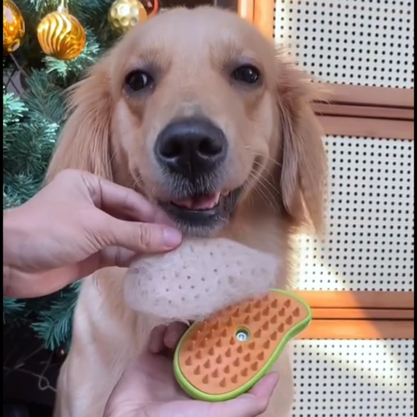 FluffNMist™ Pet Brush