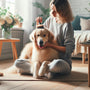 Pet grooming made easy: A DIY guide for all ages