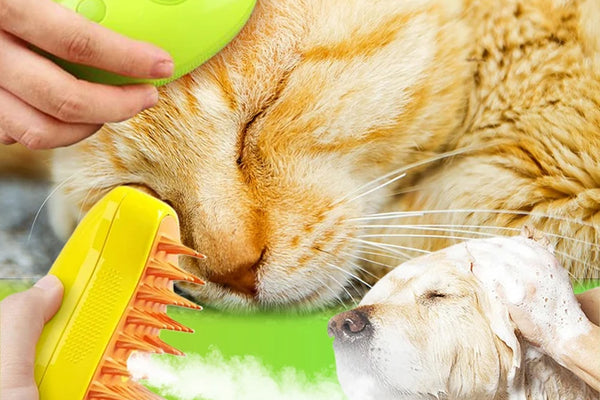 Pet grooming tools and supplies