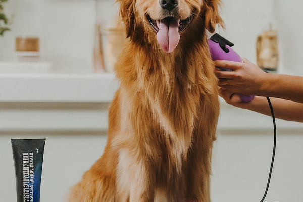 Fur-tastic DIY Pet Grooming: Keeping Your Pet Looking and Feeling Great