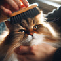 DIY Pet grooming transformations: Inspiring makeovers for furry friends