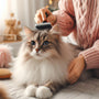 The art of DIY pet pampering: Elevating your pet's grooming experience