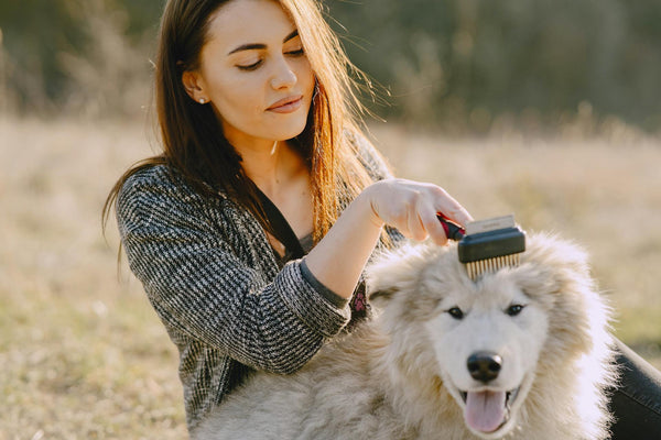 Grooming as a bonding ritual with your pet