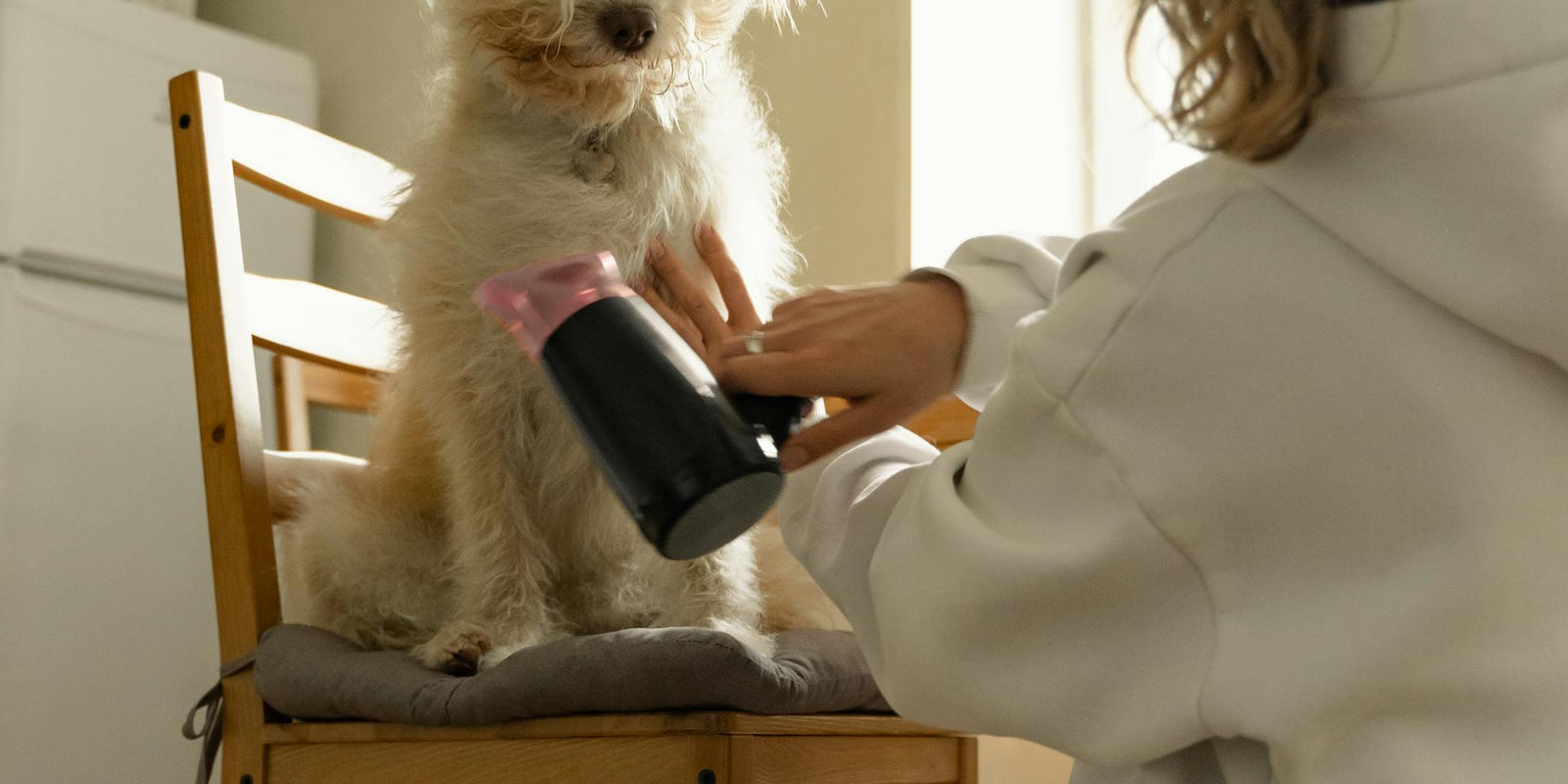 DIY grooming wonders: Tips from pet enthusiasts